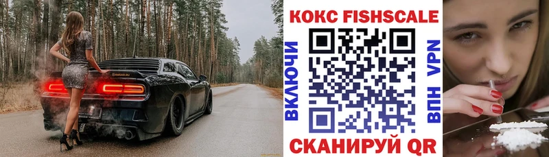 Купить закладки  Петухово  Cocaine 99% 