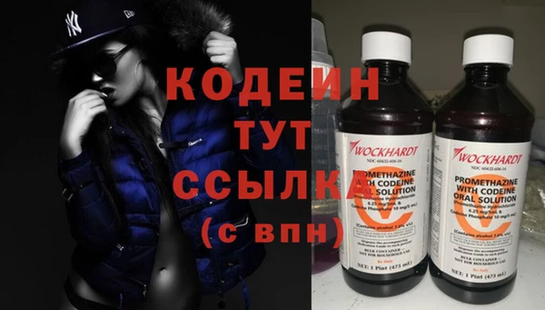 индика Гусев