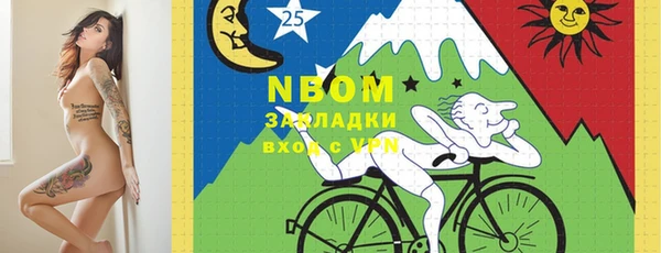 индика Гусев