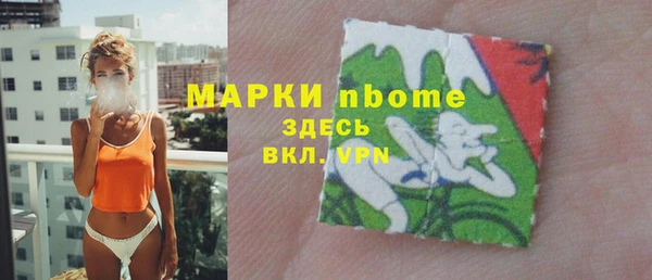 индика Гусев