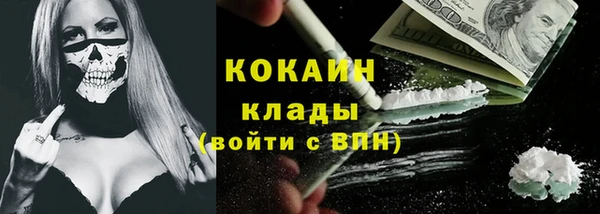 индика Гусев