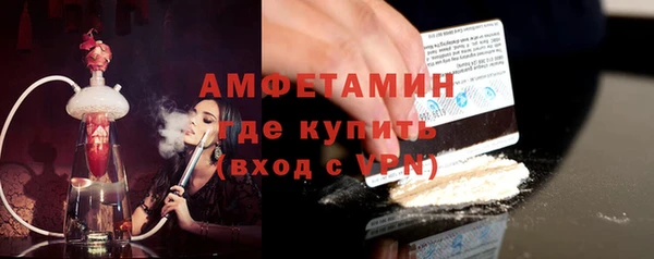 индика Гусев