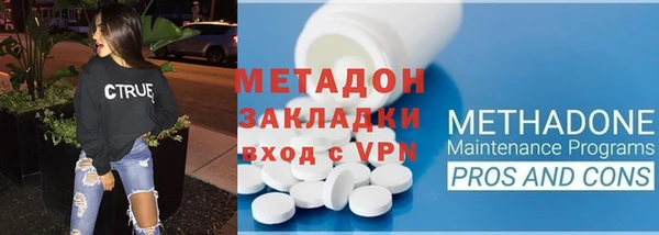 индика Гусев