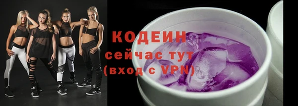 индика Гусев