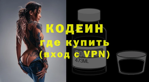 индика Гусев