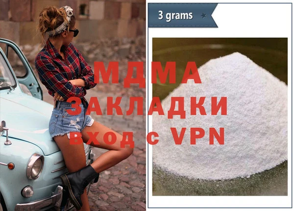 индика Гусев