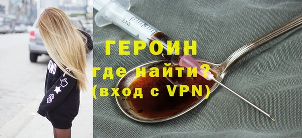 индика Гусев