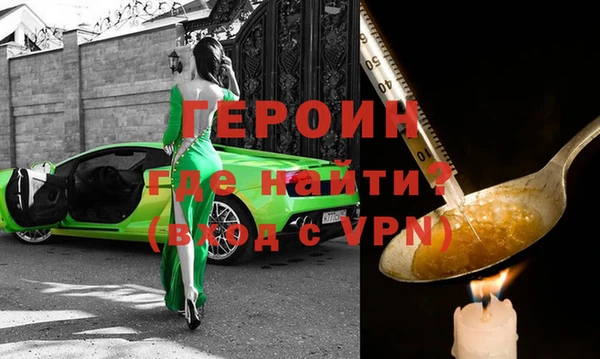 индика Гусев