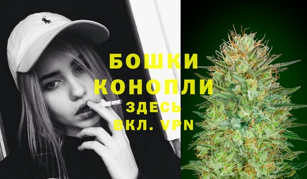 индика Гусев