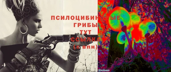 тгк Гусиноозёрск