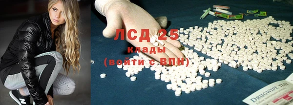 индика Гусев