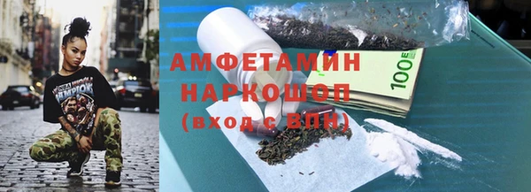 индика Гусев